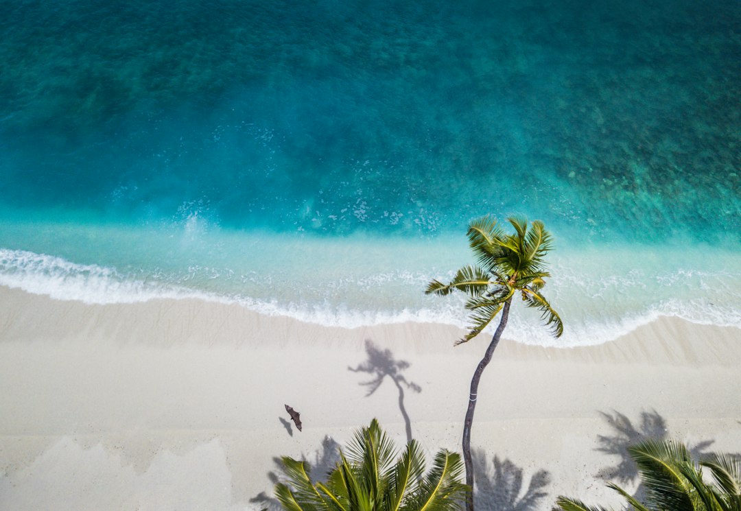 Acampamento de Verão: Aventura ao Ar Livre e Diversão para Todas as Idades