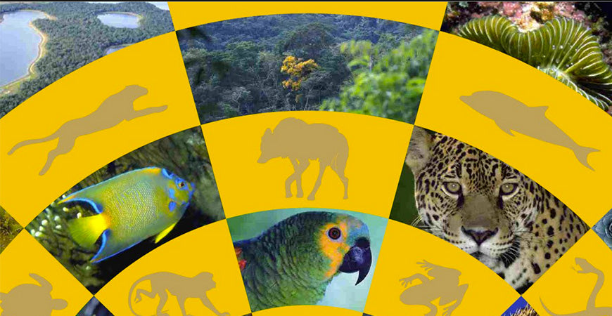 Dia Internacional da Biodiversidade.
