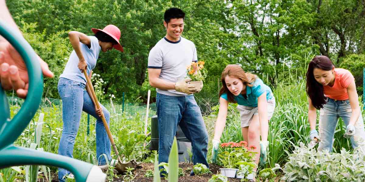 Como o Turismo Comunitário É Organizado: Estruturas, Participantes e Processos