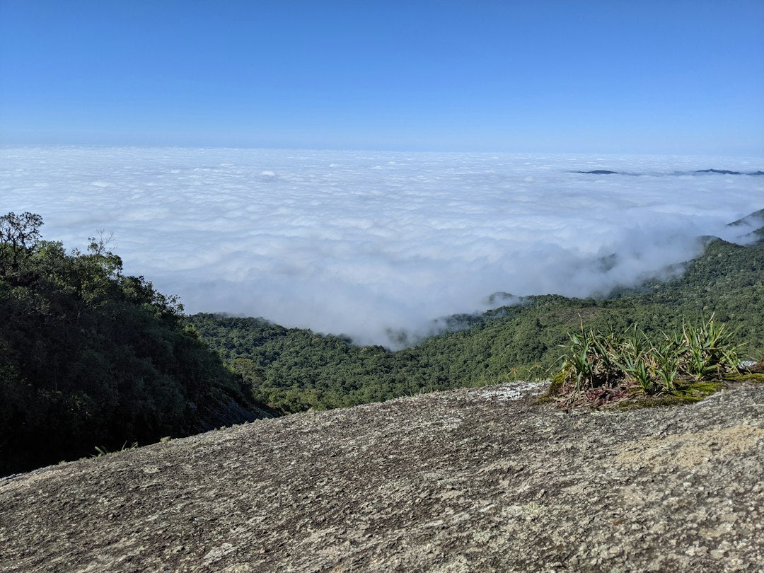 Lugares para fazer trilhas em São Paulo: Descubra destinos excepcionais de natureza em São Paulo.