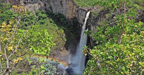 Aventuras na Amazônia: Explorando a Selva com Segurança