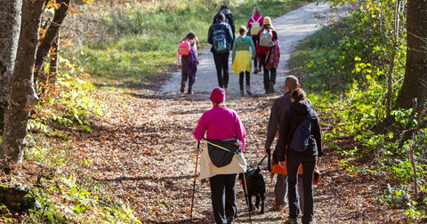 Benefícios das Trilhas para a Saúde Física e Mental