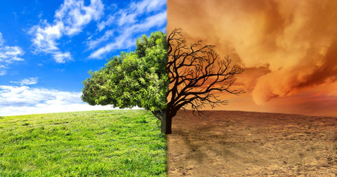 Causas das Mudanças Climáticas: Fatores Naturais e Humanos