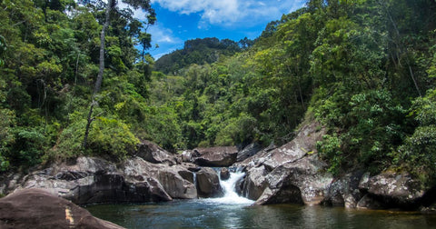 Serra do Caparaó: Aventuras e Dicas para Exploradores