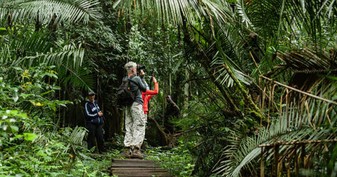 Os Melhores Destinos de Ecoturismo para Aventureiros no Brasil