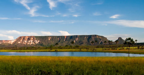 Jalapão: Aventuras e Dicas para Exploradores