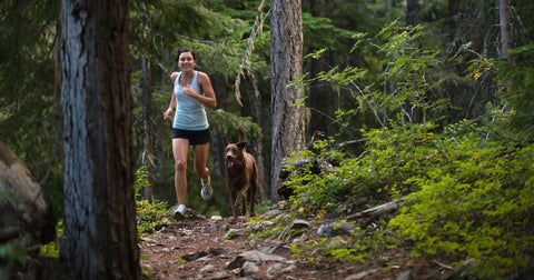 Dá pra fazer trilha com cachorro? Dicas para uma aventura segura com seu pet