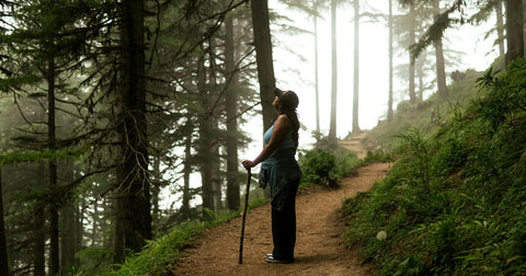 Caminhadas Espirituais: Quando a Trilha se Torna um Caminho de Autodescoberta