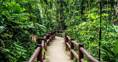 Microaventuras: Como Ter Grandes Experiências Sem Sair da Sua Cidade