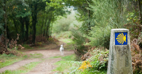 10 Melhores Trilhas do Caminho de Santiago (Espanha)