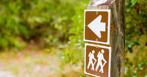 Aventura para Todos: Trilhas Adaptadas e Acessíveis no Brasil