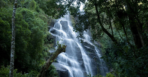10 Trilhas Mais Desafiadoras do Parque Nacional do Itatiaia