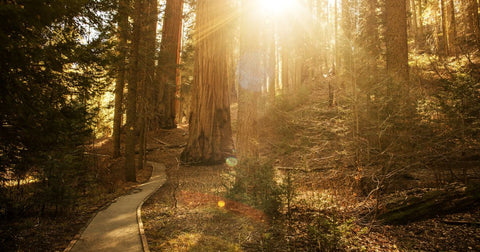 20 Trilhas Mais Impressionantes dos Parques Nacionais dos EUA