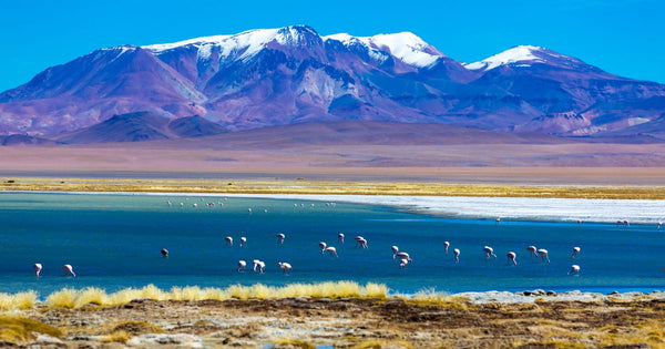 12 Trilhas Imperdíveis no Deserto do Atacama (Chile)