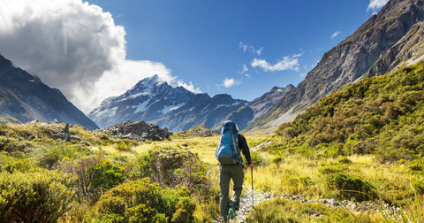 Trilhas da Nova Zelândia: 15 Great Walks para Sua Bucket List