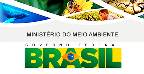 Ministério do Meio Ambiente: origem, curiosidades, ministros e muito mais