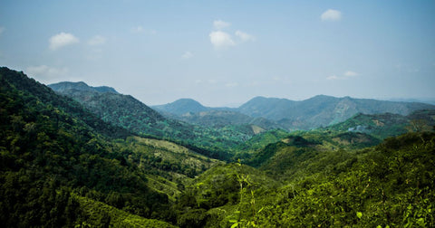Serra Do Cipó: Aventuras e Dicas para Exploradores