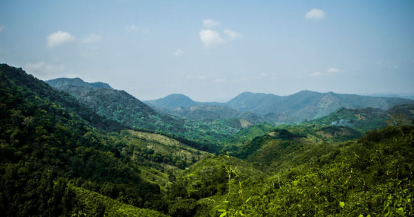 Serra Do Cipó: Aventuras e Dicas para Exploradores