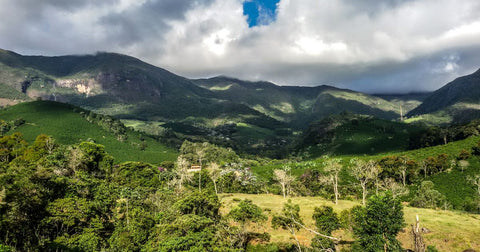 Descubra as Trilhas Mais Incríveis para Aventuras no Brasil