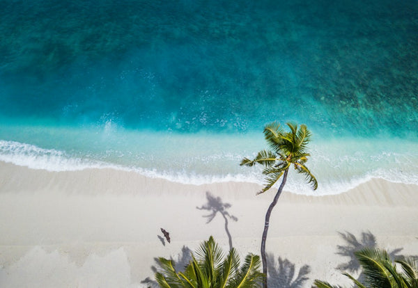 Acampamento de Verão: Aventura ao Ar Livre e Diversão para Todas as Idades