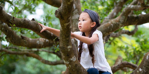 Arvorismo com Crianças: Diversão e Segurança na Altura
