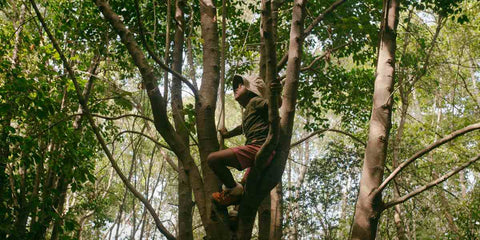 Benefícios do Arvorismo para a Saúde Física e Mental