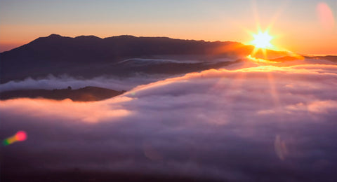 Você conhece os Rios Voadores?