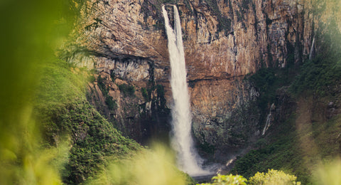 Cabeça D'água - O que é, e como evitar.