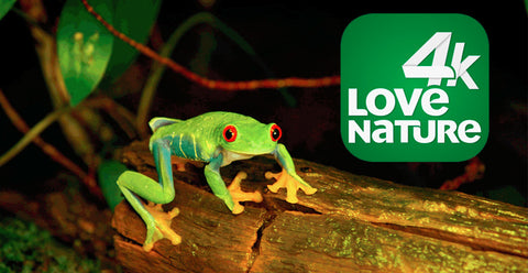 Love Nature: NET lançará canal em 4K especializado em vida selvagem e natureza