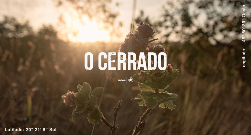 O Cerrado