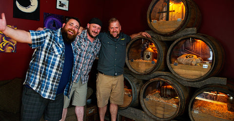 Com Terra até o Pescoço: série sobre moradias para répteis e anfíbios