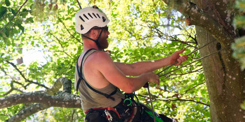 Como é Praticado Arvorismo: Um Guia Passo a Passo