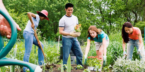 Como o Turismo Comunitário É Organizado: Estruturas, Participantes e Processos