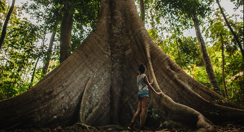 Alter do Chão e Comunidade Jamaraquá por Cris Marques
