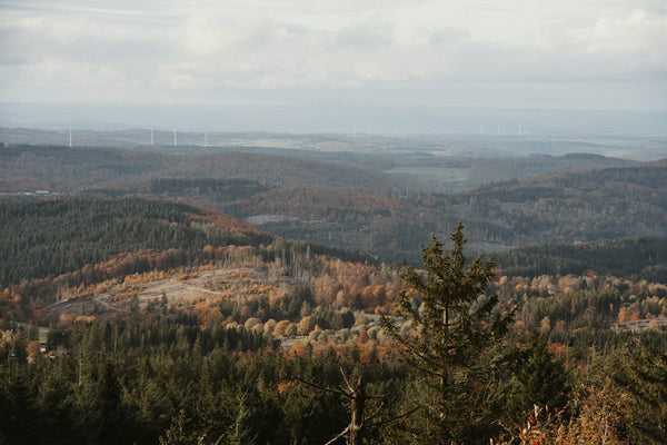 Destinos turísticos: Lugares imperdíveis para os amantes da natureza.