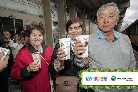 Ação dia da árvore