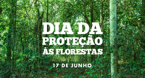 Dia de Proteção às Florestas