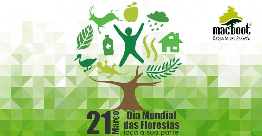Dia Internacional da floresta : frases e música para comemorar