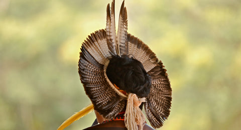 Dia Internacional dos Povos Indígenas