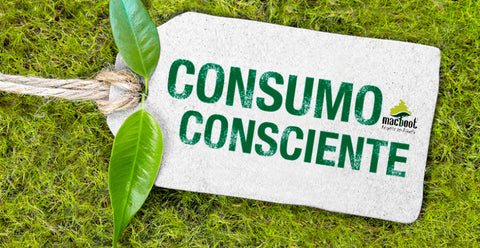 Dia do Consumo Consciente: algumas reflexões e curiosidades