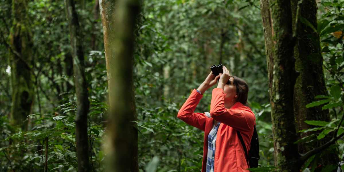 Dicas essenciais para a prática de ecoturismo sustentável