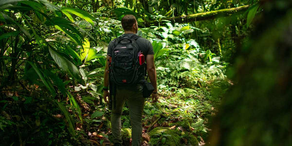 Ecoturismo e Tecnologia: Apps e Ferramentas Úteis para a Sua Viagem