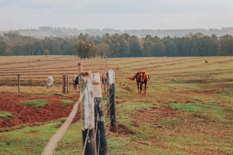 Equipamento Essencial para Trilhas: Prepare-se para Aventuras ao Ar Livre