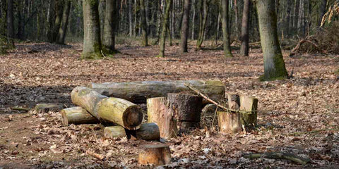 Descubra Como Fazer Ferramentas Improvisadas na Floresta