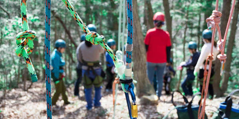 Impacto Ambiental do Arvorismo: Como Praticar de Forma Sustentável