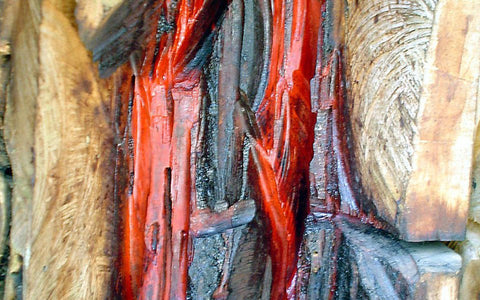 Dia do Pau Brasil: 3 de maio