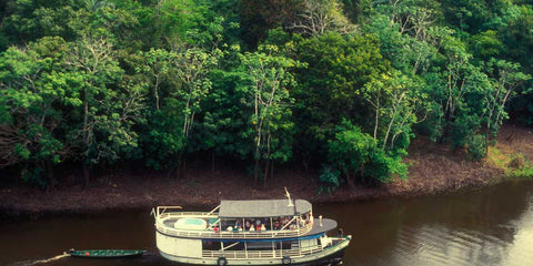 Roteiros com O Ecoturismo no Brasil: Planeje sua Próxima Aventura Verde