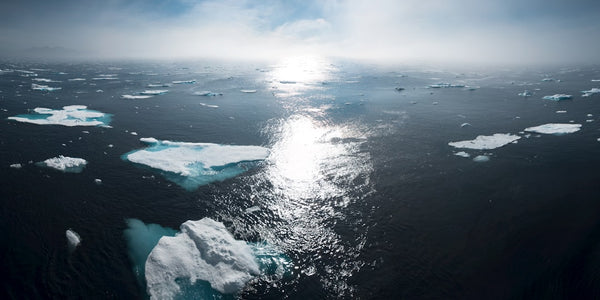 O que deve ser feito para conter as mudanças climáticas: soluções e estratégias
