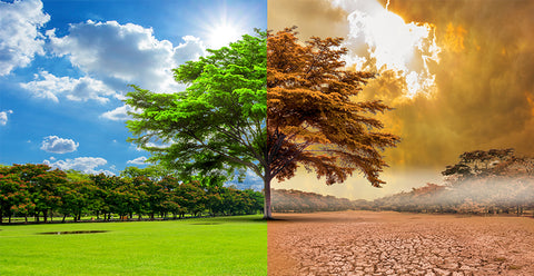 DIA NACIONAL DA CONSCIENTIZAÇÃO SOBRE AS MUDANÇAS CLIMÁTICAS