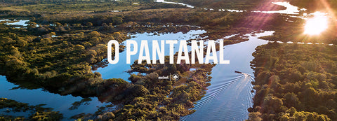 Pantanal: o bioma mais preservado do Brasil